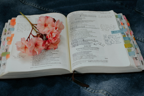 برنامه ریزی تحصیلی